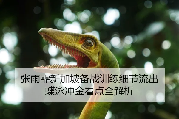 张雨霏新加坡备战训练细节流出 蝶泳冲金看点全解析